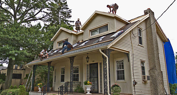 Best Roof Gutter Cleaning  in Hebron, IL