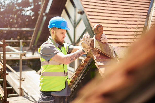 Best Metal Roofing Contractor  in Hebron, IL